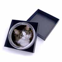 Beautiful Tabby Cat Glass Paperweight in Gift Box