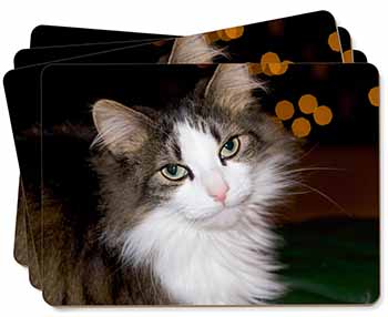 Beautiful Tabby Cat Picture Placemats in Gift Box