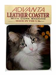 Beautiful Tabby Cat Single Leather Photo Coaster