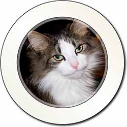 Beautiful Tabby Cat Car or Van Permit Holder/Tax Disc Holder