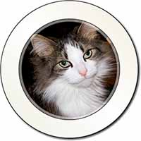 Beautiful Tabby Cat Car or Van Permit Holder/Tax Disc Holder