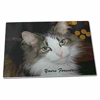 Large Glass Cutting Chopping Board Tabby Cat 