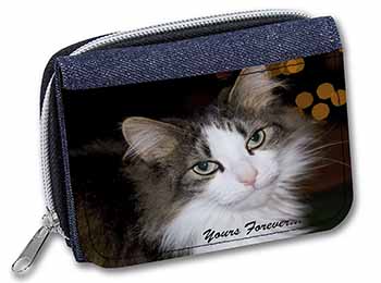 Tabby Cat 