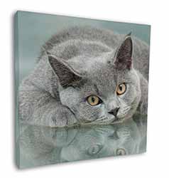 British Blue Cat Laying on Glass Square Canvas 12"x12" Wall Art Picture Print