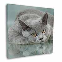 British Blue Cat Laying on Glass Square Canvas 12"x12" Wall Art Picture Print