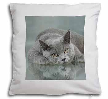 British Blue Cat Laying on Glass Soft White Velvet Feel Scatter Cushion