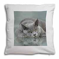 British Blue Cat Laying on Glass Soft White Velvet Feel Scatter Cushion
