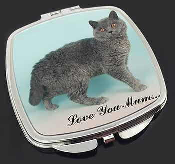 Selkirk Rex Cat 