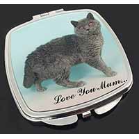 Selkirk Rex Cat 