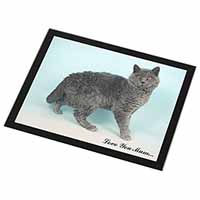 Selkirk Rex Cat 