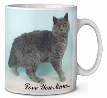 Selkirk Rex Cat 