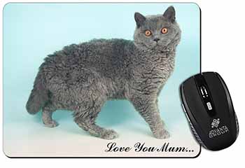 Selkirk Rex Cat 