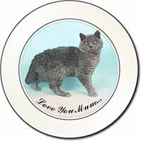 Selkirk Rex Cat 