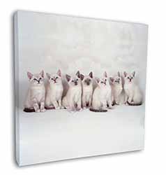 Snowshoe Kittens Snow Shoe Cats Square Canvas 12"x12" Wall Art Picture Print