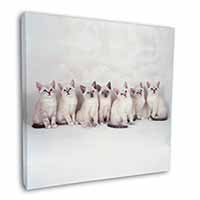 Snowshoe Kittens Snow Shoe Cats Square Canvas 12"x12" Wall Art Picture Print