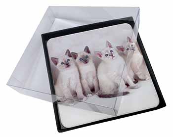 4x Snowshoe Kittens Snow Shoe Cats Picture Table Coasters Set in Gift Box