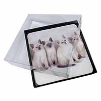 4x Snowshoe Kittens Snow Shoe Cats Picture Table Coasters Set in Gift Box