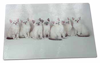 Large Glass Cutting Chopping Board Snowshoe Kittens Snow Shoe Cats