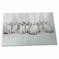 Large Glass Cutting Chopping Board Snowshoe Kittens Snow Shoe Cats
