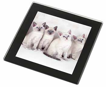 Snowshoe Kittens Snow Shoe Cats Black Rim High Quality Glass Coaster