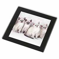 Snowshoe Kittens Snow Shoe Cats Black Rim High Quality Glass Coaster