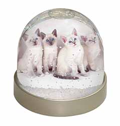 Snowshoe Kittens Snow Shoe Cats Snow Globe Photo Waterball