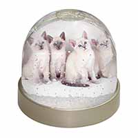 Snowshoe Kittens Snow Shoe Cats Snow Globe Photo Waterball