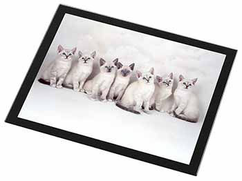 Snowshoe Kittens Snow Shoe Cats Black Rim High Quality Glass Placemat