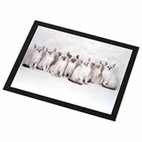 Snowshoe Kittens Snow Shoe Cats Black Rim High Quality Glass Placemat