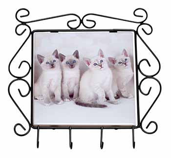 Snowshoe Kittens Snow Shoe Cats Wrought Iron Key Holder Hooks