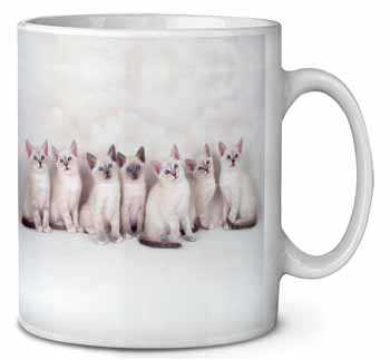 Snowshoe Kittens Snow Shoe Cats Ceramic 10oz Coffee Mug/Tea Cup