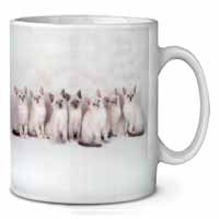 Snowshoe Kittens Snow Shoe Cats Ceramic 10oz Coffee Mug/Tea Cup