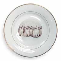 Snowshoe Kittens Snow Shoe Cats Gold Rim Plate Printed Full Colour in Gift Box