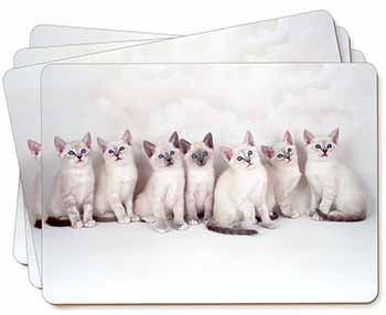 Snowshoe Kittens Snow Shoe Cats Picture Placemats in Gift Box
