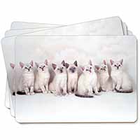 Snowshoe Kittens Snow Shoe Cats Picture Placemats in Gift Box