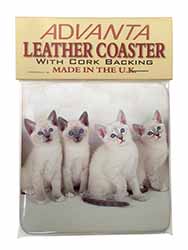 Snowshoe Kittens Snow Shoe Cats Single Leather Photo Coaster
