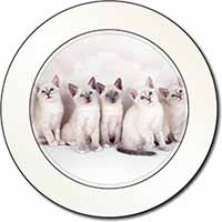 Snowshoe Kittens Snow Shoe Cats Car or Van Permit Holder/Tax Disc Holder