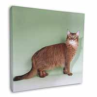 Ginger Somali Cat Square Canvas 12"x12" Wall Art Picture Print