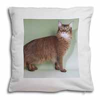 Ginger Somali Cat Soft White Velvet Feel Scatter Cushion