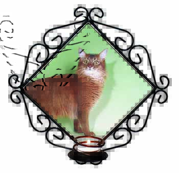 Ginger Somali Cat Wrought Iron Wall Art Candle Holder