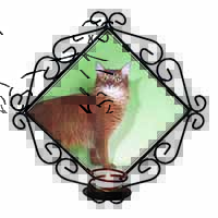 Ginger Somali Cat Wrought Iron Wall Art Candle Holder