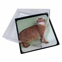 4x Ginger Somali Cat Picture Table Coasters Set in Gift Box