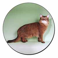 Ginger Somali Cat Fridge Magnet Printed Full Colour