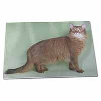 Large Glass Cutting Chopping Board Ginger Somali Cat