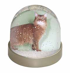 Ginger Somali Cat Snow Globe Photo Waterball