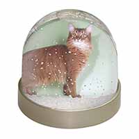 Ginger Somali Cat Snow Globe Photo Waterball