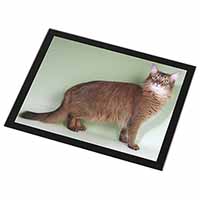 Ginger Somali Cat Black Rim High Quality Glass Placemat