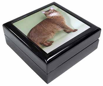 Ginger Somali Cat Keepsake/Jewellery Box