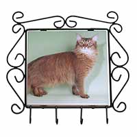 Ginger Somali Cat Wrought Iron Key Holder Hooks