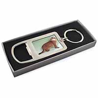 Ginger Somali Cat Chrome Metal Bottle Opener Keyring in Box